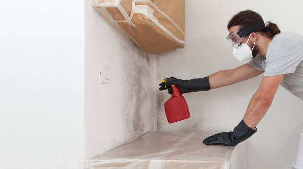 Professional Crawl Space Mold Removal technician working in Elmira, NY