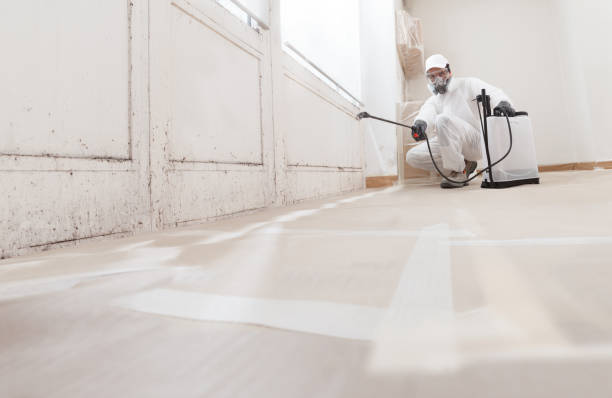 24/7 Emergency Crawl Space Mold Removal experts in Elmira, NY